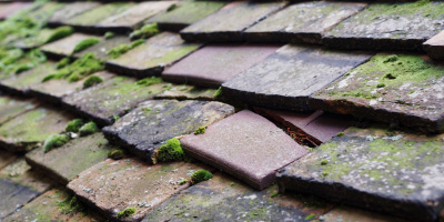 Earls Colne roof repair costs